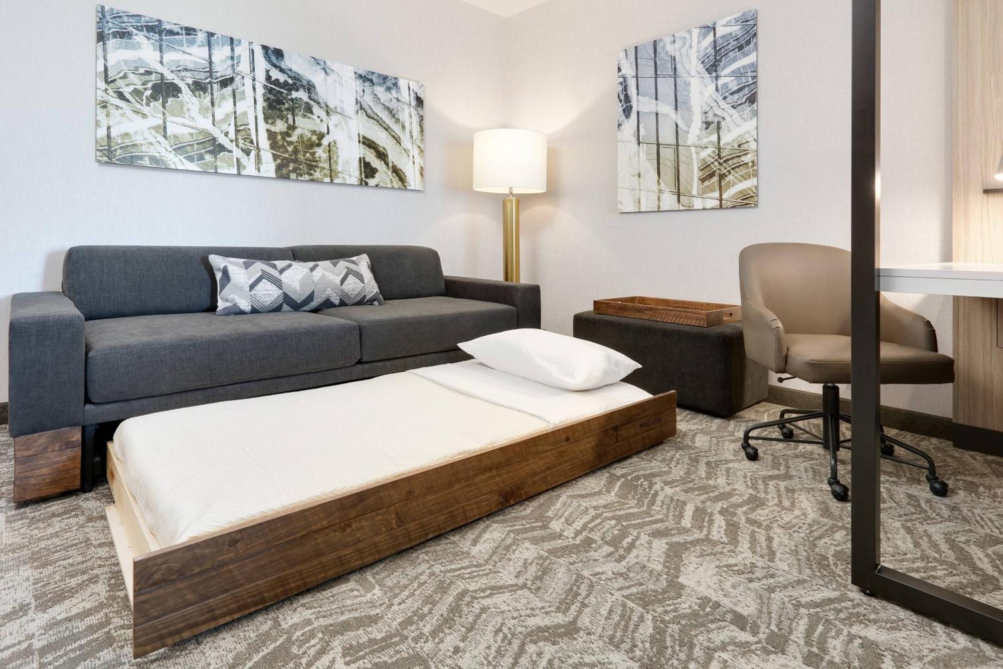 Springhill Suites By Marriott Dallas Mansfield Exteriér fotografie